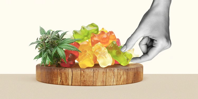 Exploring the Sweet Side of Wellness: The Benefits of CBD Gummies